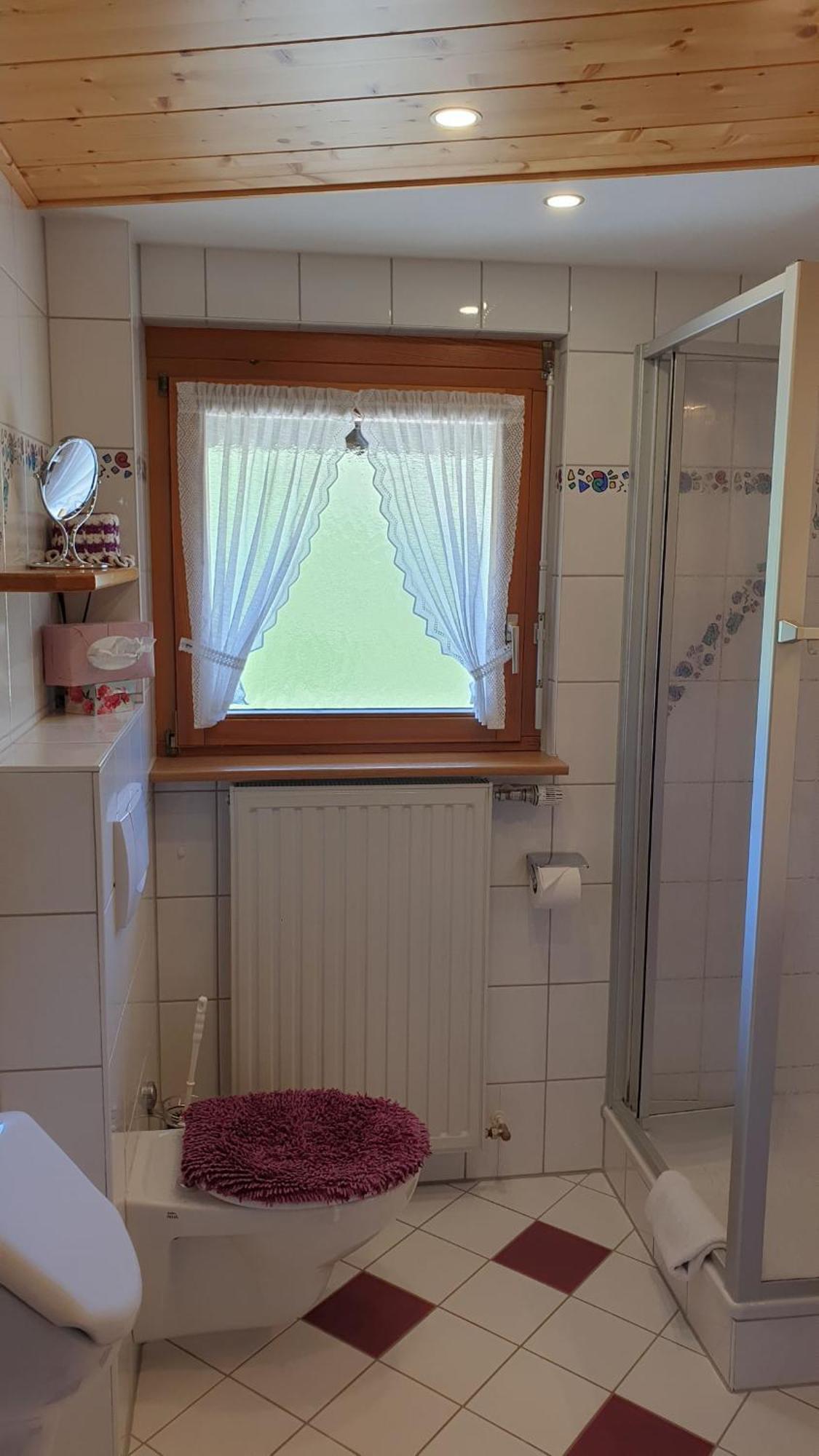 Haus Am Kreuzbuehl Apartment Dachsberg im Schwarzwald Bagian luar foto