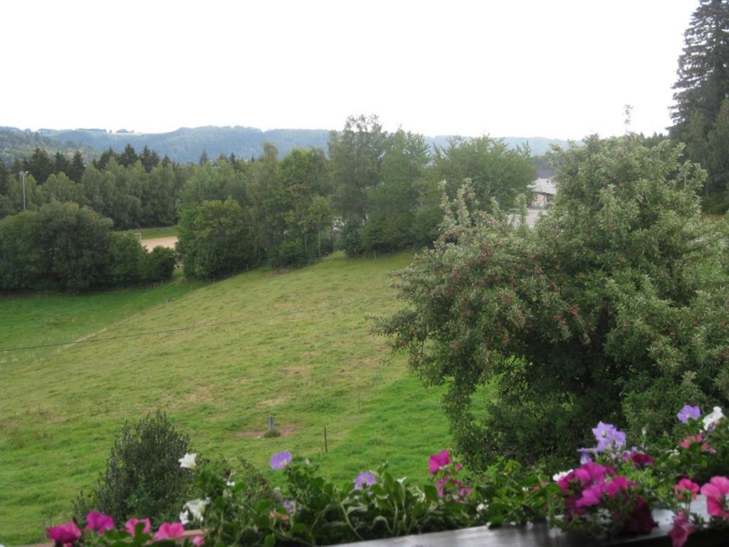 Haus Am Kreuzbuehl Apartment Dachsberg im Schwarzwald Bagian luar foto