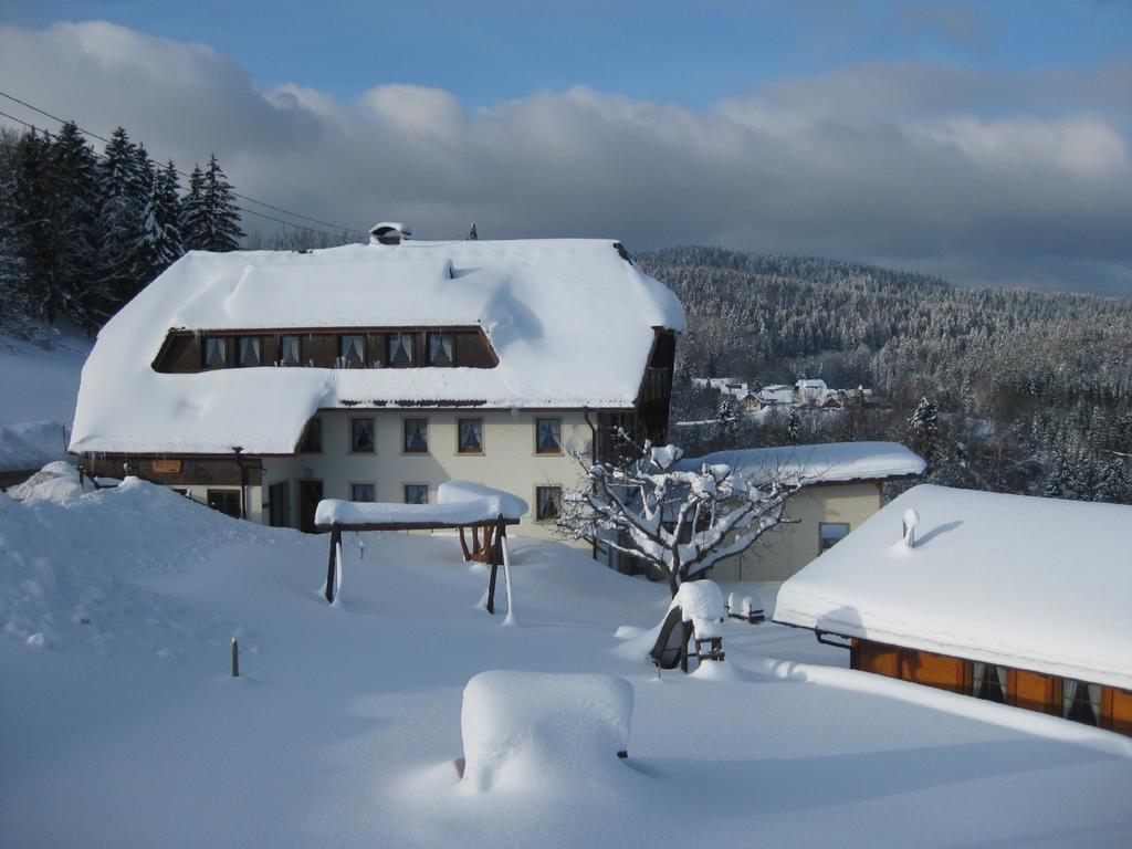 Haus Am Kreuzbuehl Apartment Dachsberg im Schwarzwald Bagian luar foto