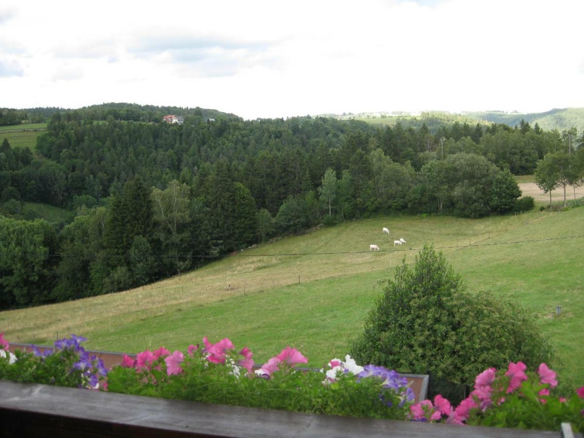 Haus Am Kreuzbuehl Apartment Dachsberg im Schwarzwald Bagian luar foto
